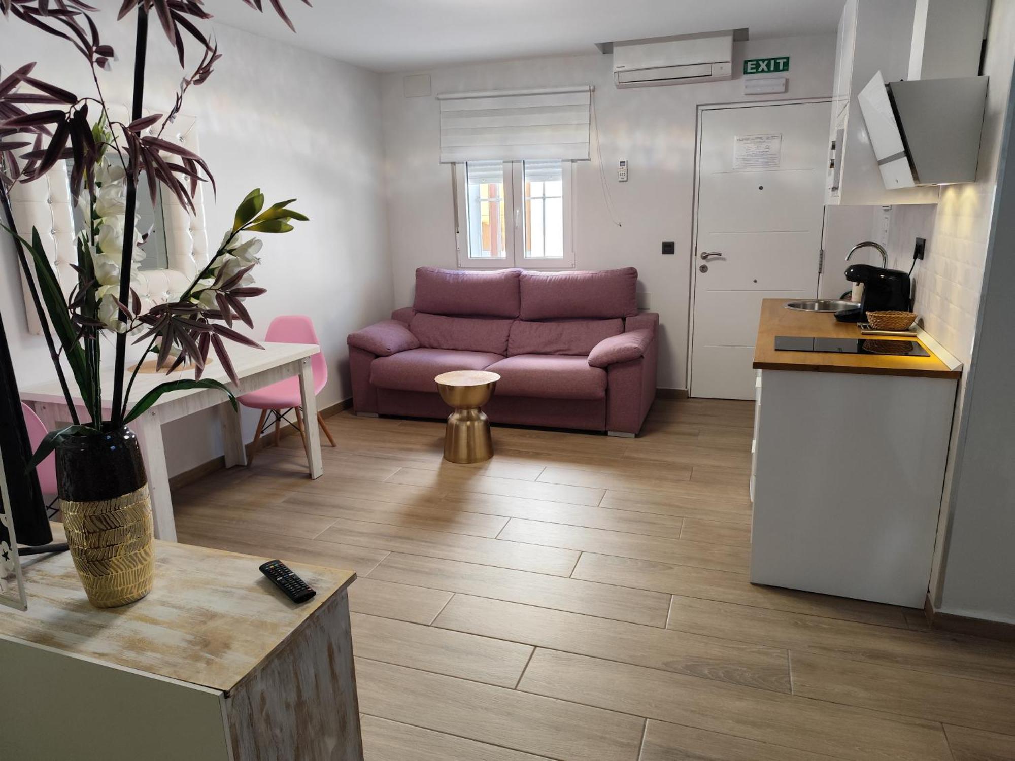 Apartamentos De La Haya & Suite Con Jacuzzi, Junto Al Teatro Romano Mérida Exterior photo